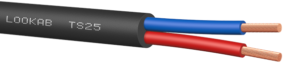 TS25
