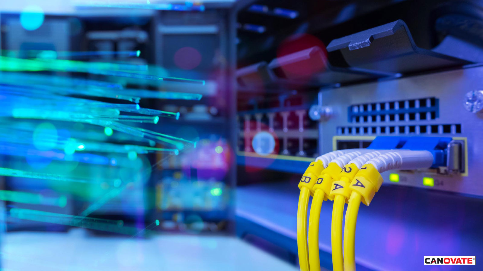 Fiber optic management solutions